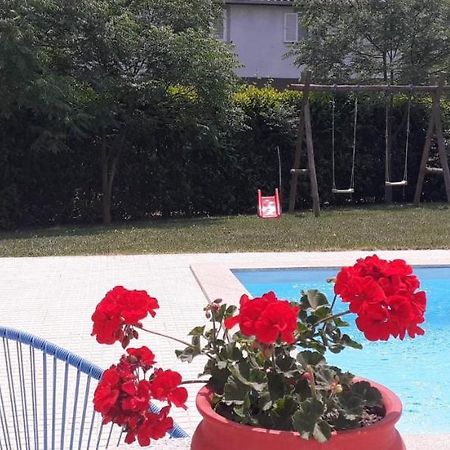 Villa Garden & Pool - Alojamentos Celorico De Basto Dış mekan fotoğraf