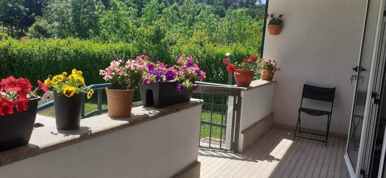 Villa Garden & Pool - Alojamentos Celorico De Basto Dış mekan fotoğraf