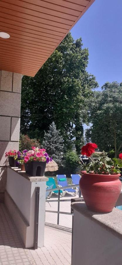 Villa Garden & Pool - Alojamentos Celorico De Basto Dış mekan fotoğraf