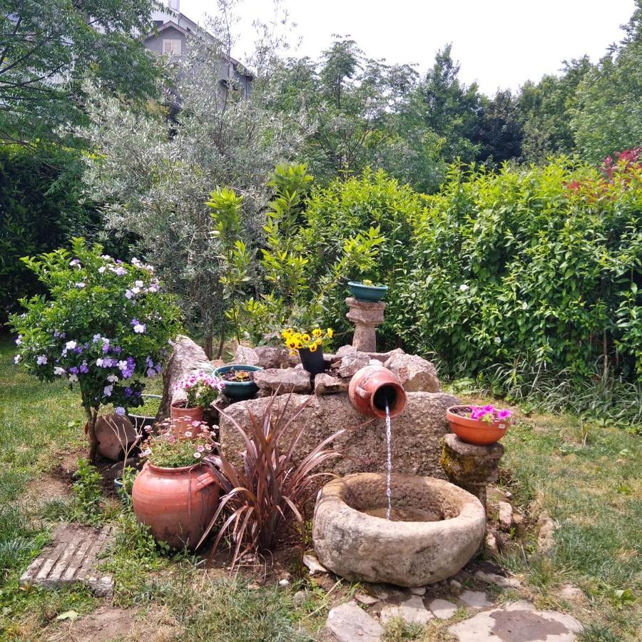 Villa Garden & Pool - Alojamentos Celorico De Basto Dış mekan fotoğraf