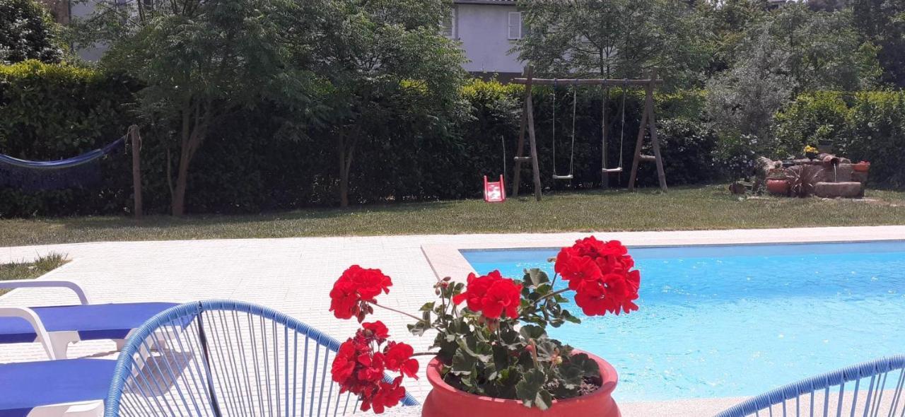 Villa Garden & Pool - Alojamentos Celorico De Basto Dış mekan fotoğraf