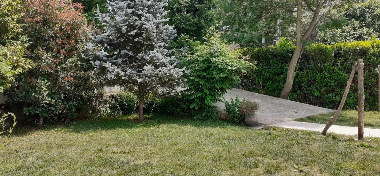 Villa Garden & Pool - Alojamentos Celorico De Basto Dış mekan fotoğraf